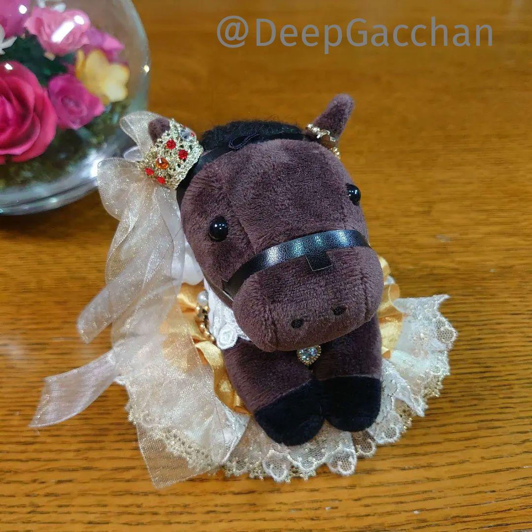 メイケイエール　スタニングローズ　アイドルホースドレス　Sサイズ