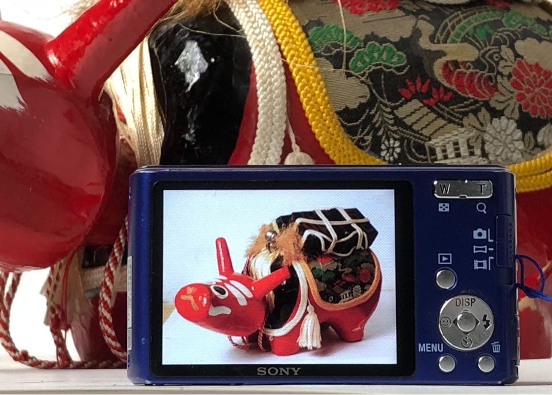 すぐに撮影OK SONY Cyber-Shot DSC-W530 デジタルカメラ