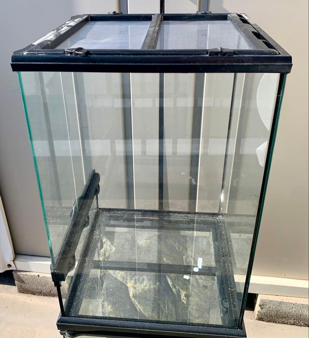 グラステラリウム　3045 エキゾテラ　未使用品