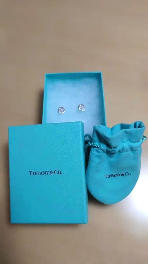 Tiffany & Co. シルバーラウンドピアス