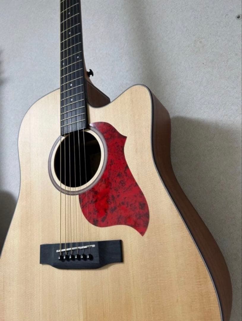 Donner アコースティックギター DAG-1C