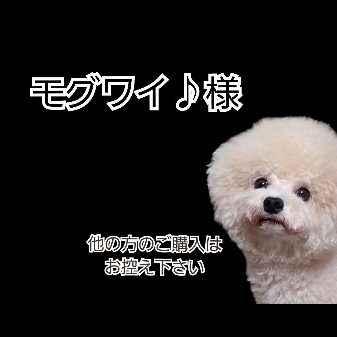 【モグワイ♪】AZ ラム 10kg ２袋