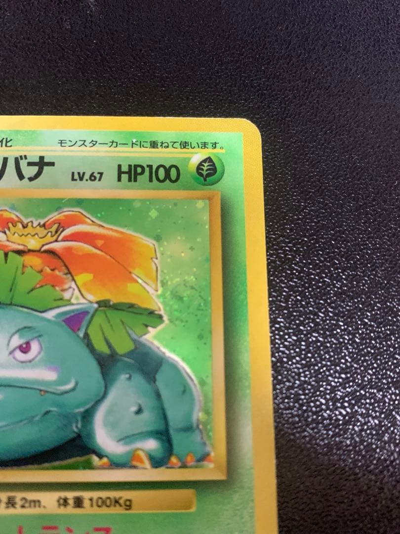 フシギバナ 初版　エラー版　マーク無し　Venusaur 旧裏　渦巻き