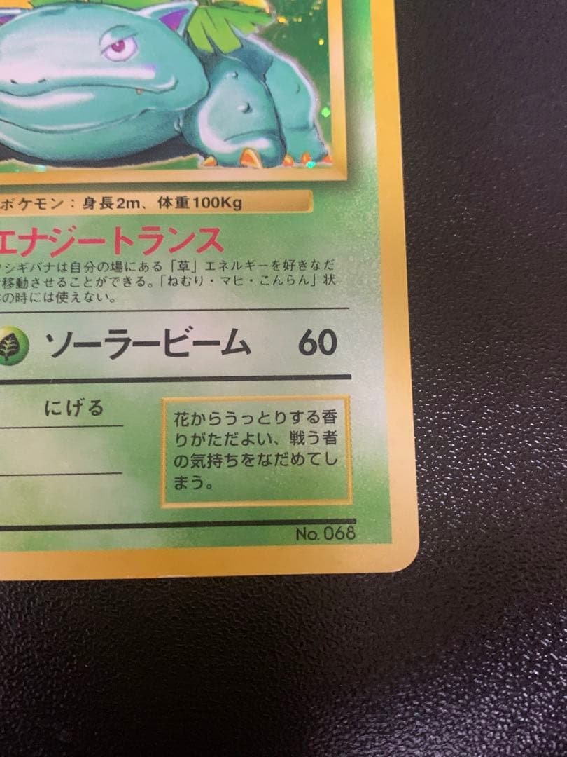 フシギバナ 初版　エラー版　マーク無し　Venusaur 旧裏　渦巻き