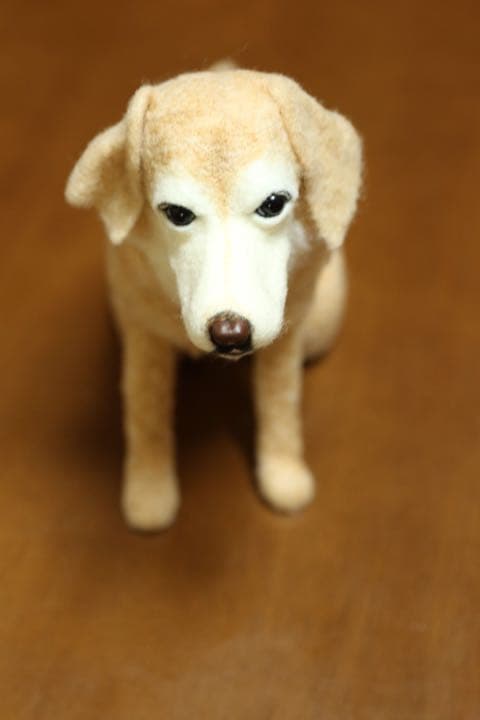 羊毛フェルト　ラブラドールレトリーバー
