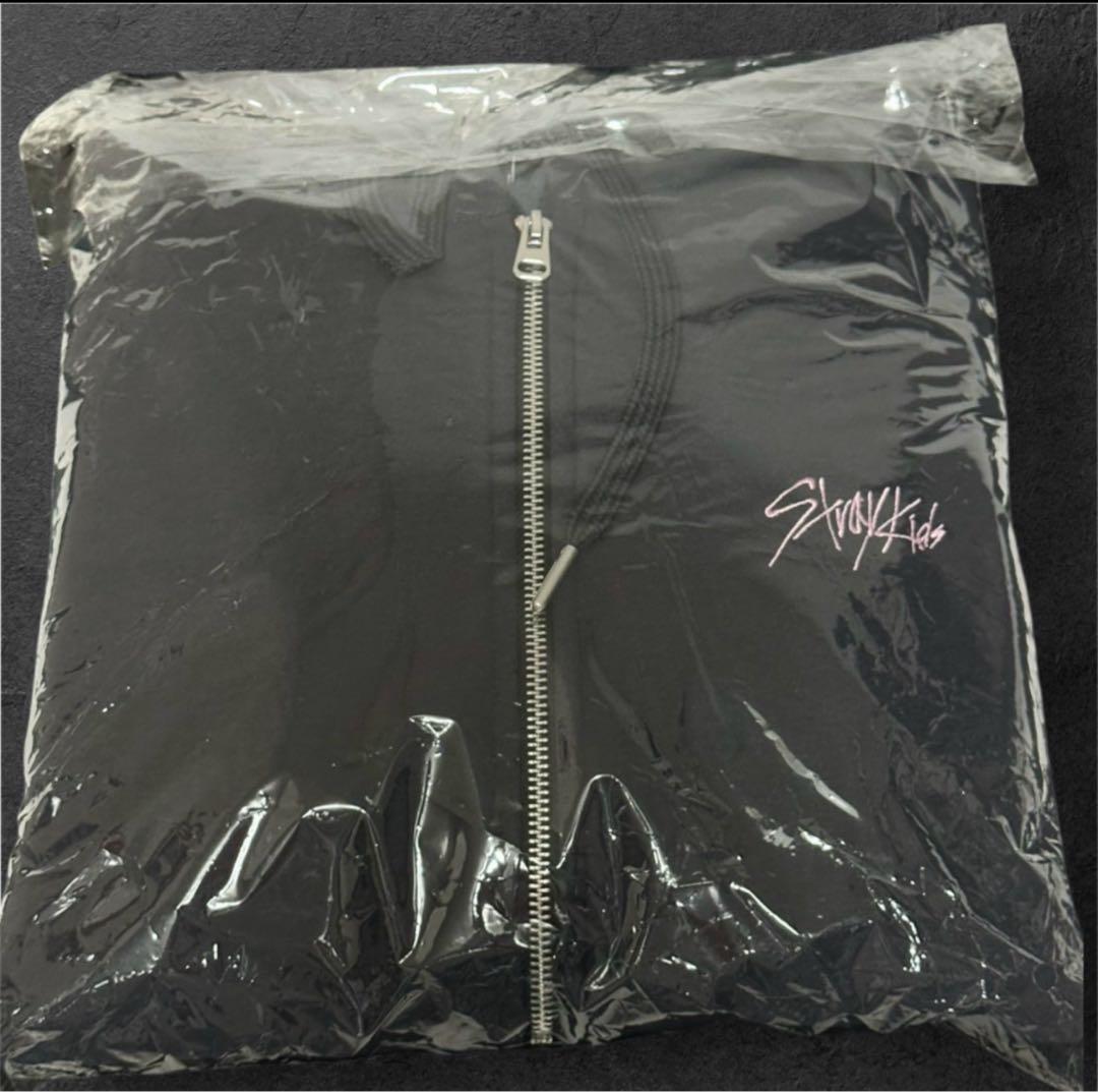 スキズ 韓国 ポップアップ DO IT ジップアップ フーディー パーカー