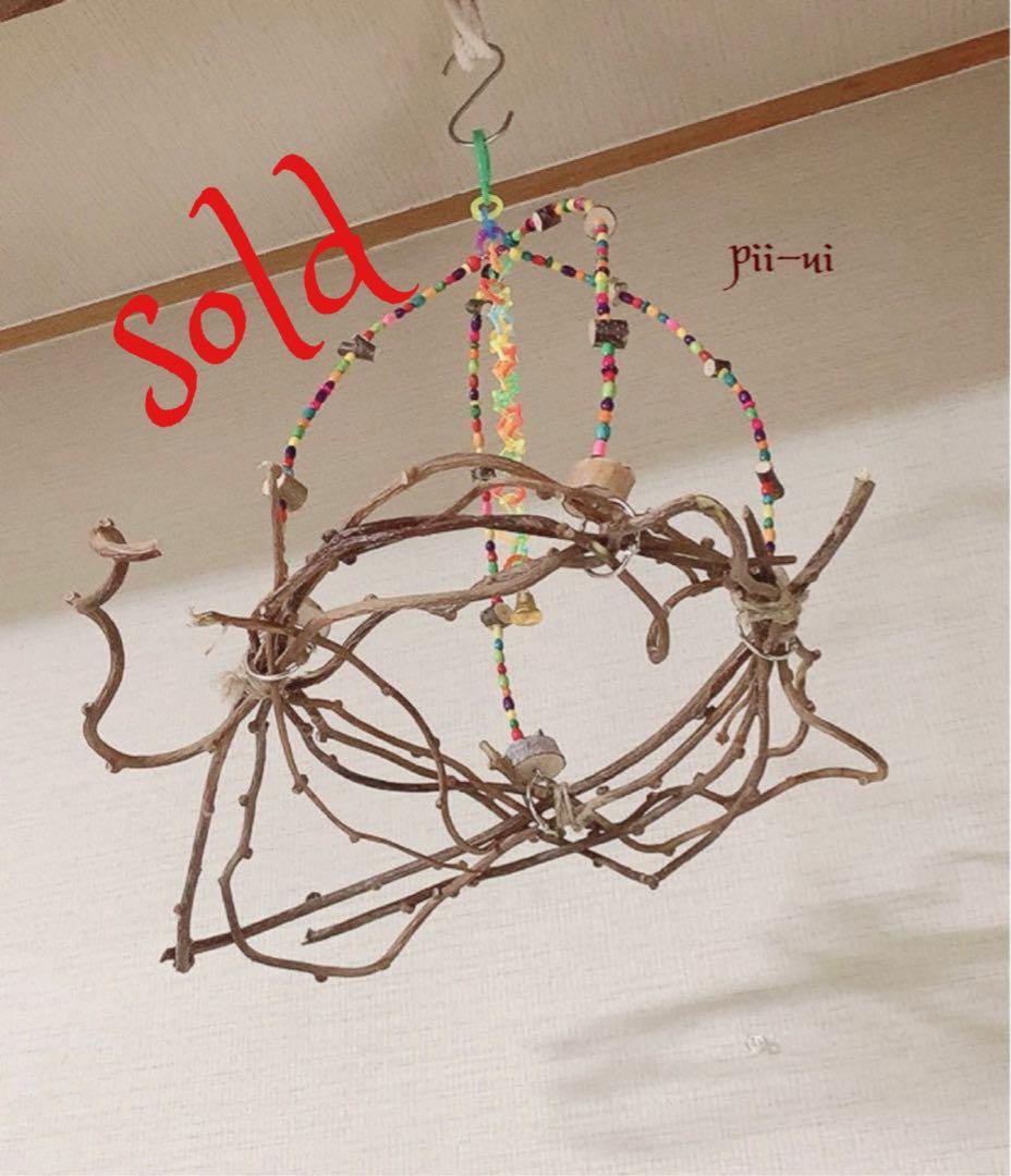 カラフルウッドブランコ♪キウイのツルஐ