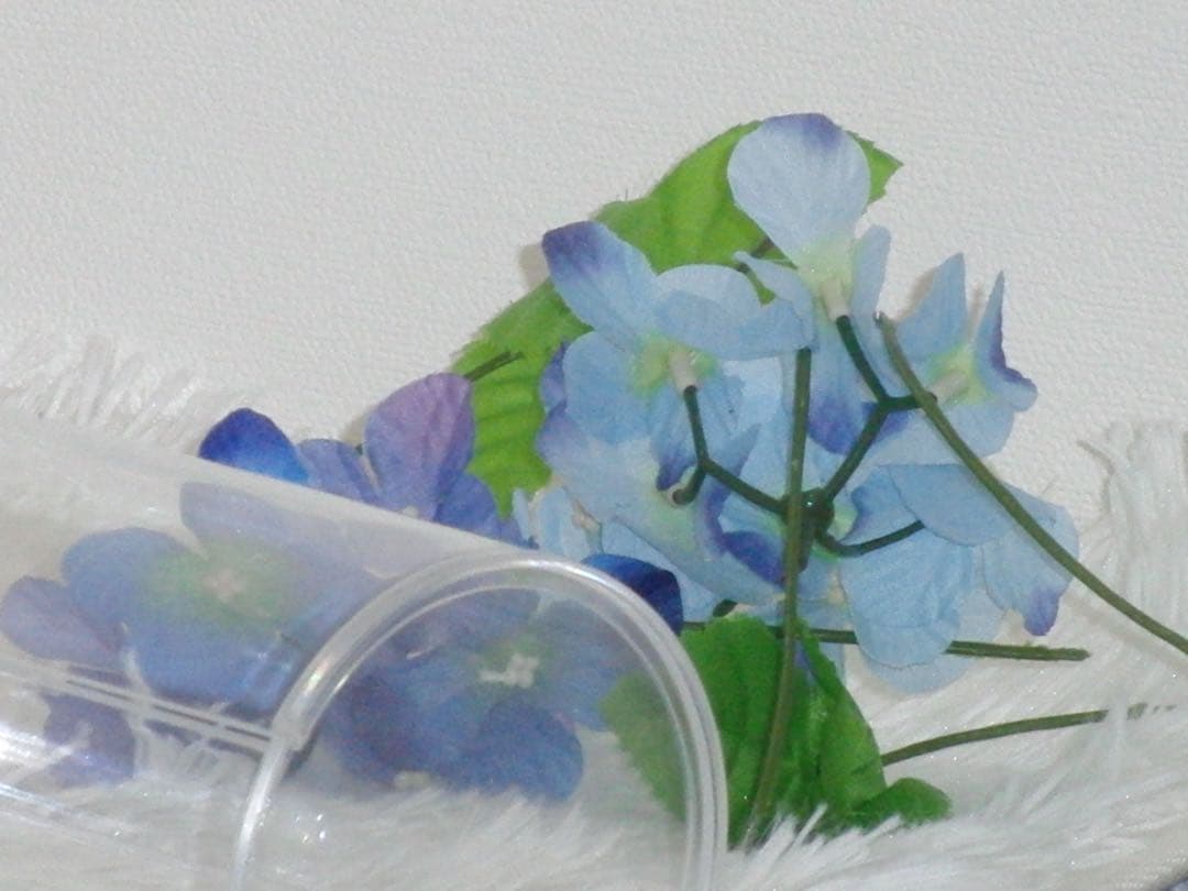 CASIO エクシリム　EX-FC100 充電器　箱　ホワイト　コンデジ　動作品