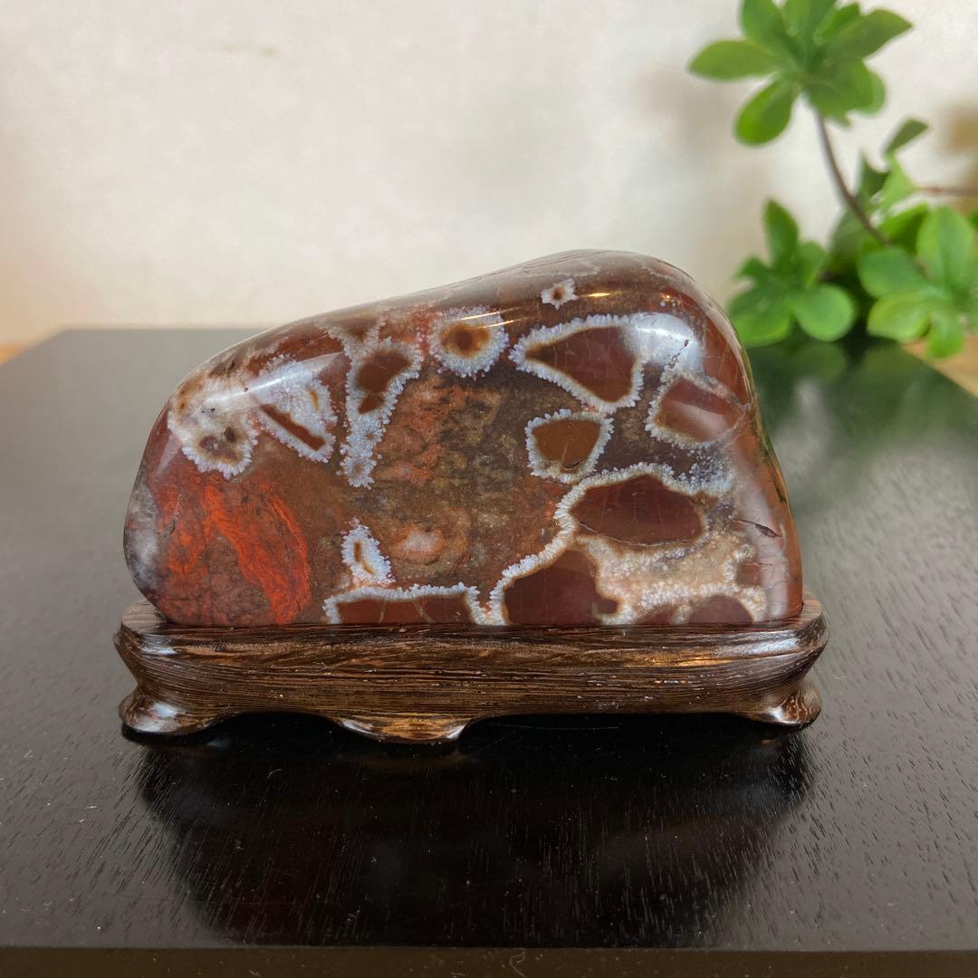 菊花石　★鑑賞石　美石　水石　盆栽