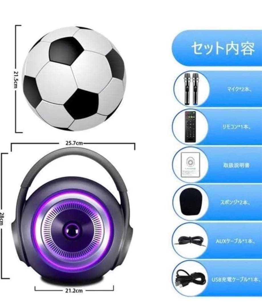 【新品】ワイヤレス カラオケセット マイク2本付き リモコン付き パーティー