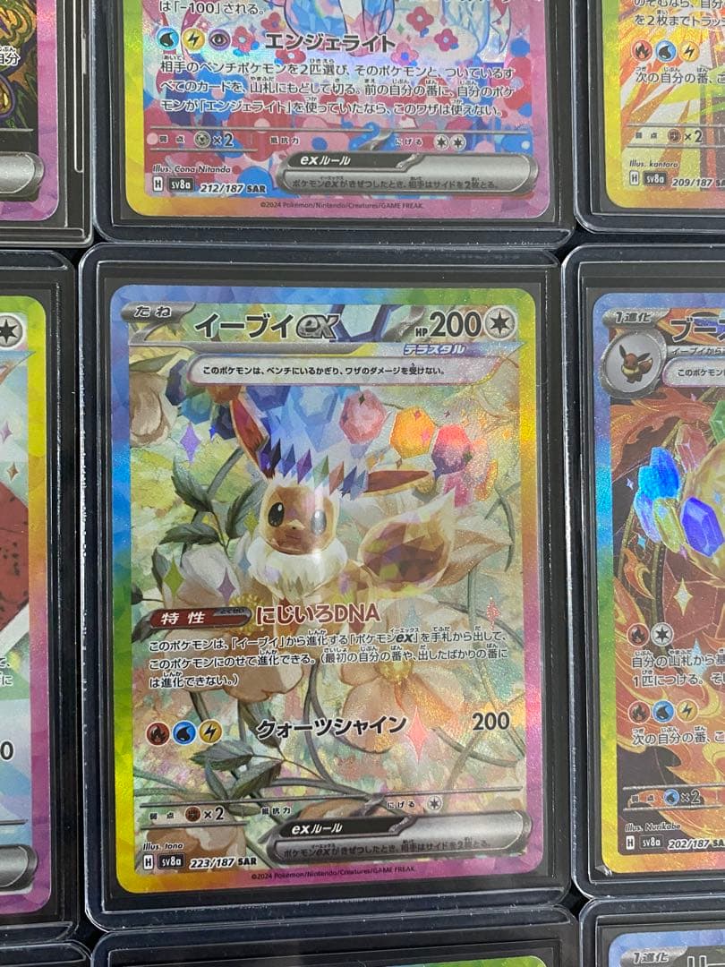 テラフェス　イーブイズex SARまとめ