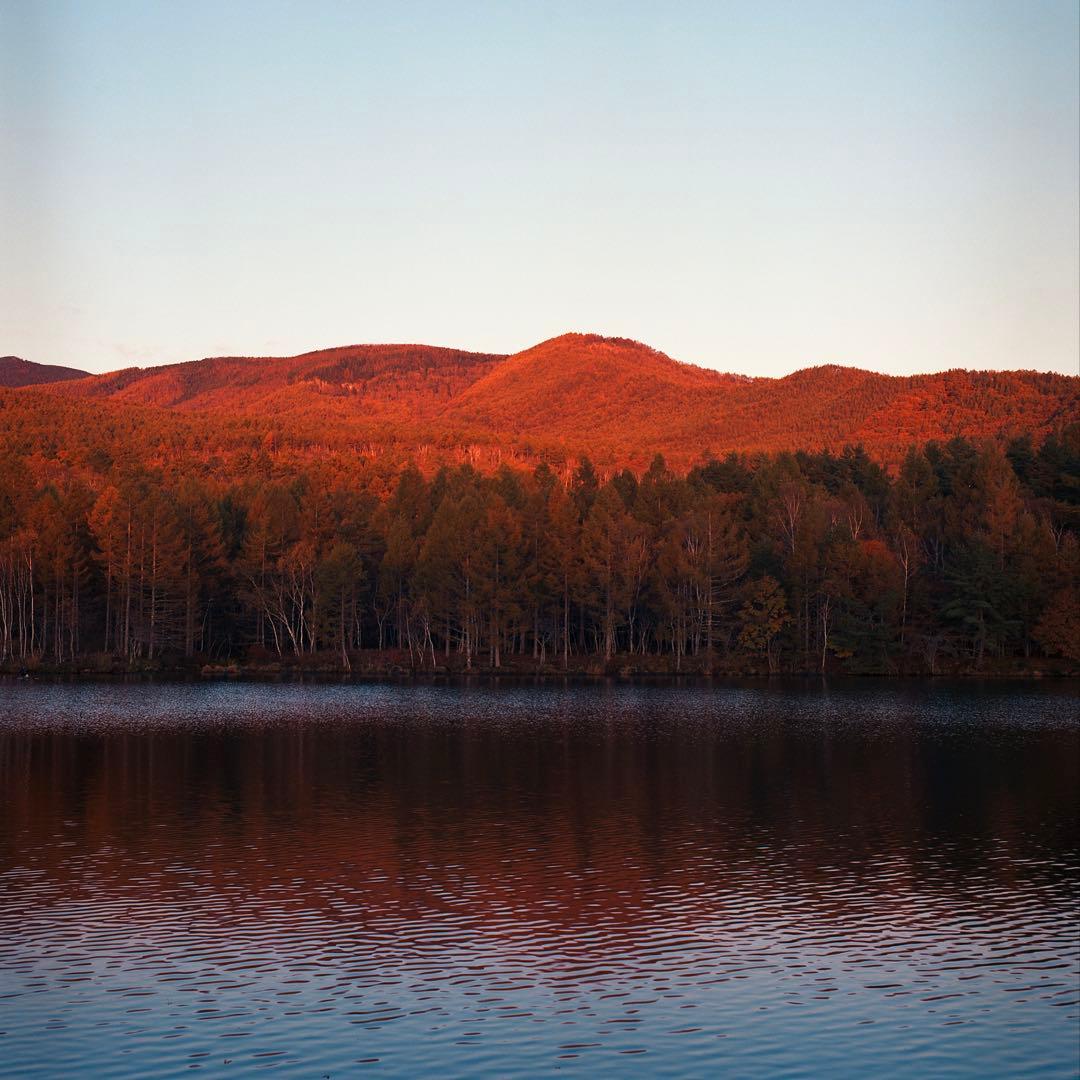 フィルムカメラ HASSELBLAD 500C/M +C80mm F2.8 +A12