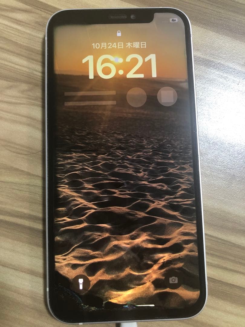 Apple iPhone 液晶漏れ　ジャンク品