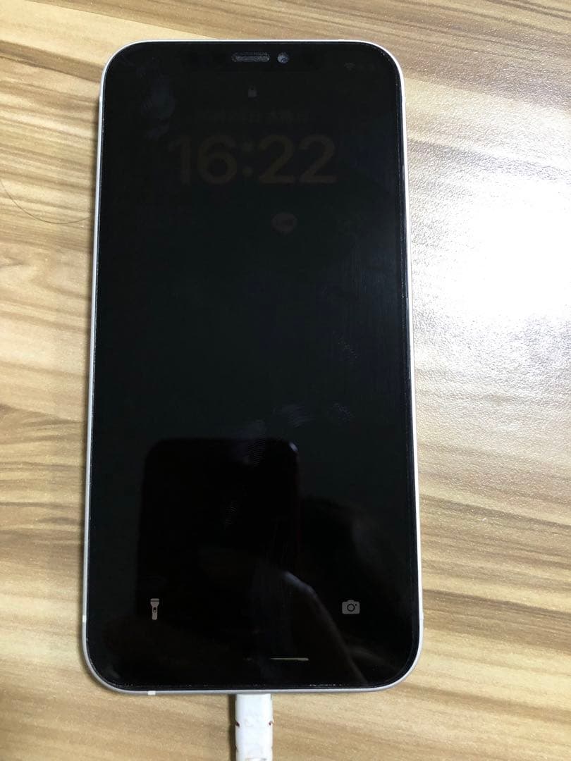 Apple iPhone 液晶漏れ　ジャンク品