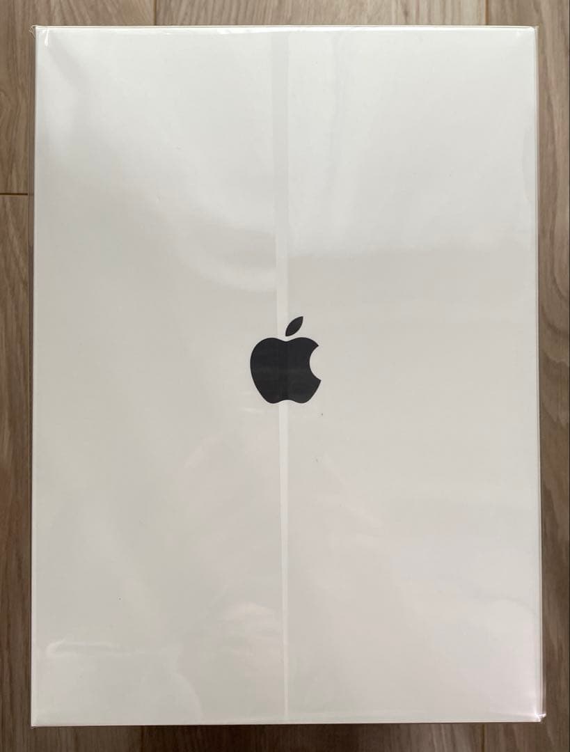 APPLE POD 第一世代　スペースグレー　未開封品