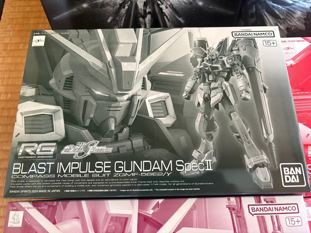 RG ガンプラ インパルス　まとめ売り