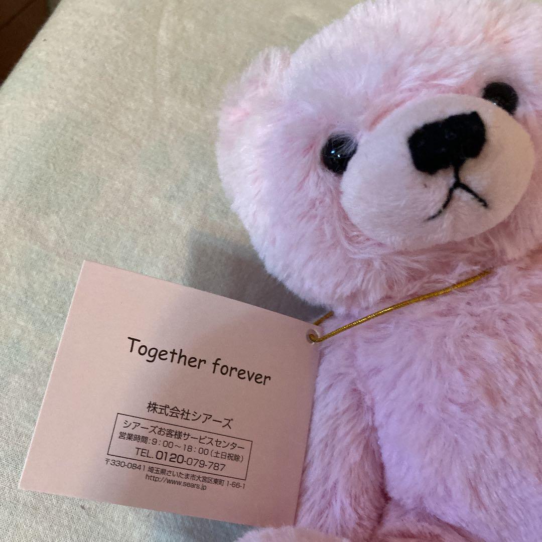 テディベア　ピンク　ぬいぐるみ　モコフワ　(株)シアーズ