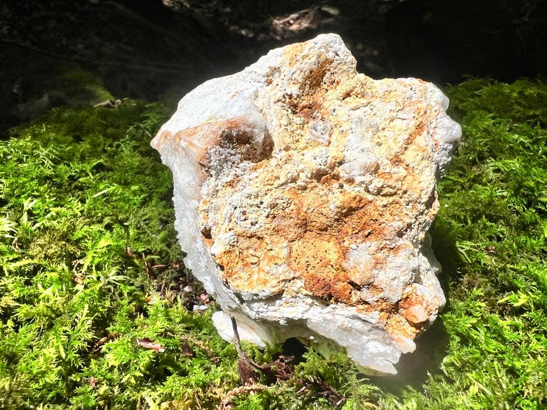 龍脈の精髄 水晶 魂を導く結晶の花 売上一部保護猫活動に使用