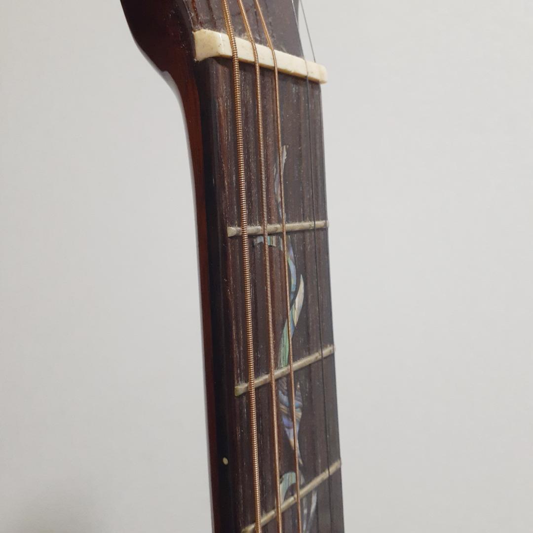 BugsGear（バグスギア）DR50TW