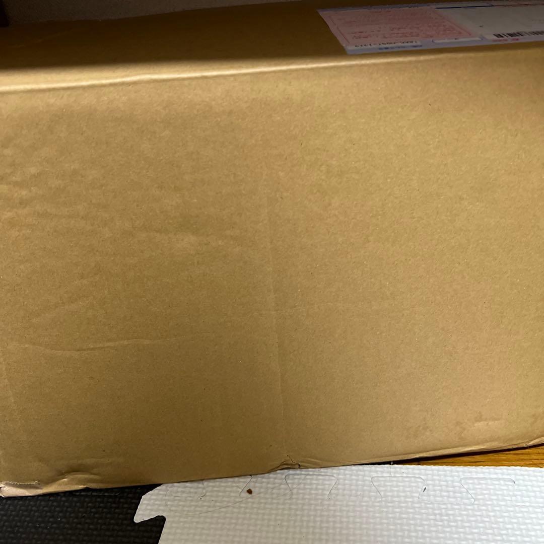 ポケモンスケールワールド　キュレム