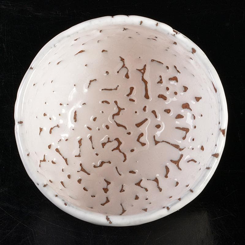 萩焼　十世　坂高麗左衛門作　白萩茶碗　銘「山里」　淡々斎極め箱　M　R6049