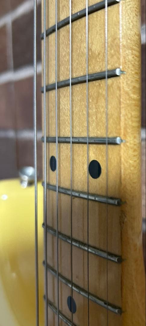 早い人勝ち　日本製　FERNANDES ザリバイバル