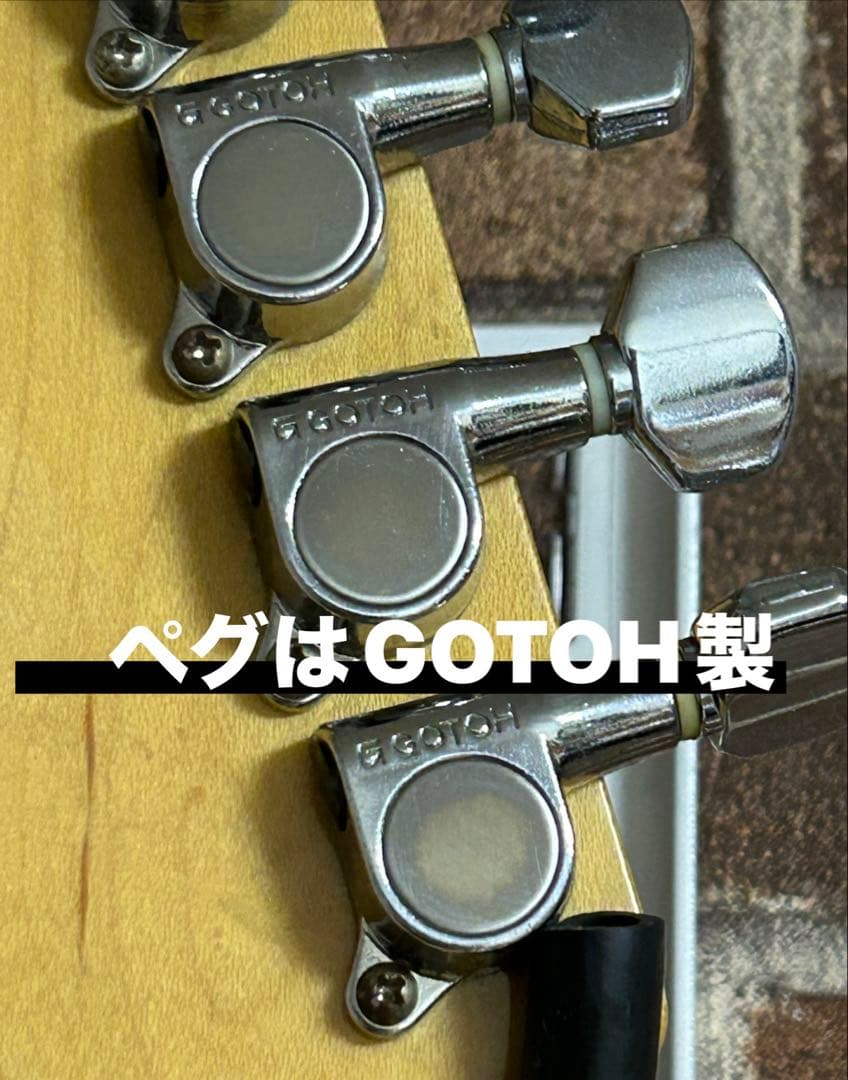 早い人勝ち　日本製　FERNANDES ザリバイバル