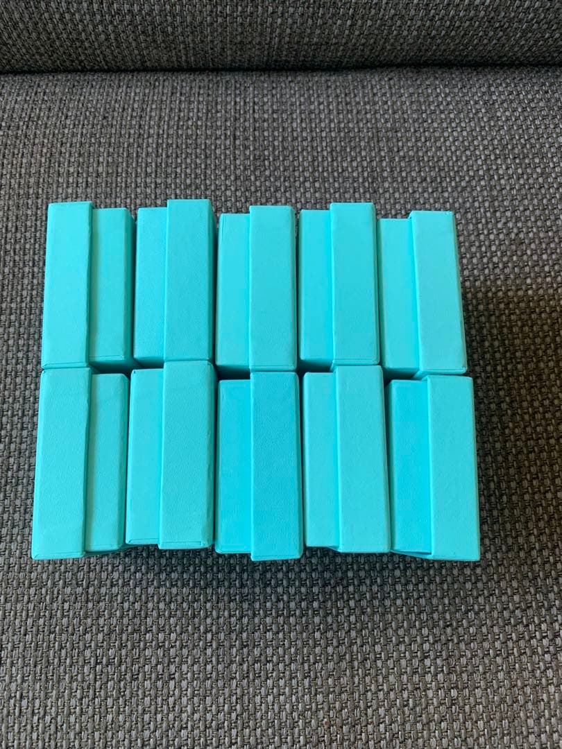 国内正方形 美品 空箱　保存袋10セット