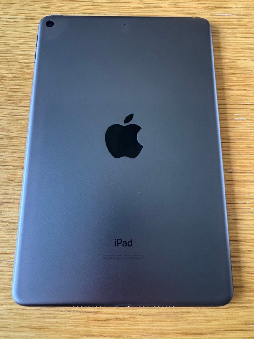 iPad mini5 256GB Apple Pencil付すぐ使えるフィルム付