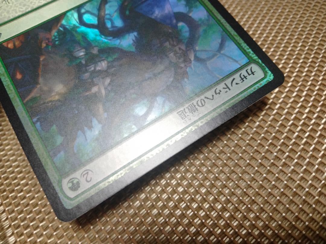 ご確認用】戦乱のゼンディカー foil カザンドゥへの撤退 日本語 1枚　MTG