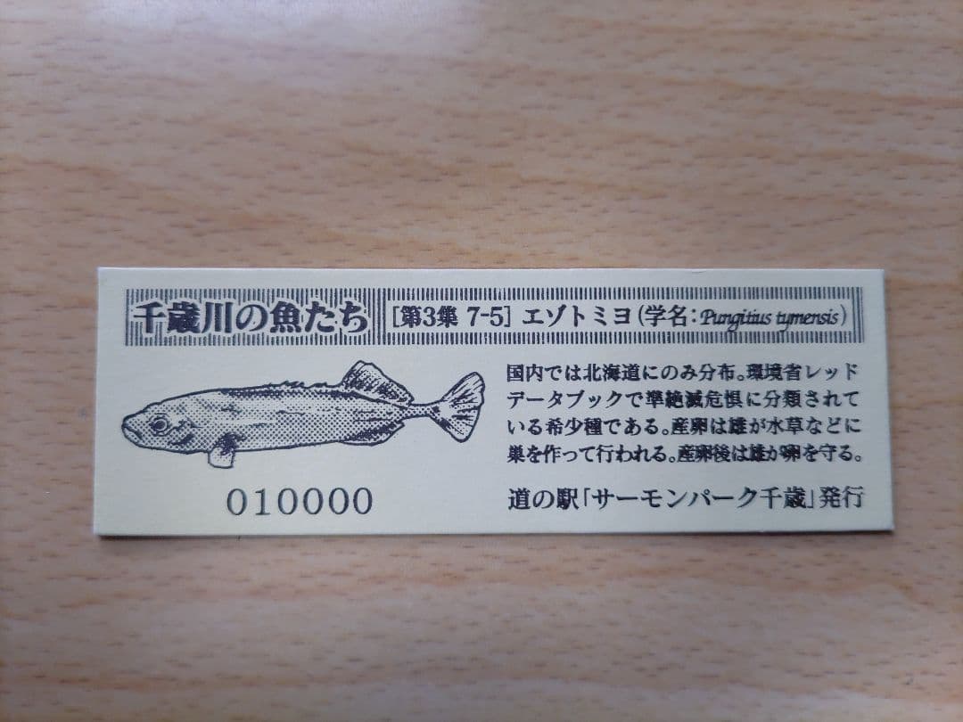 道の駅きっぷ　北海道　サーモンパーク千歳　　160円券　10000番のゴールド券