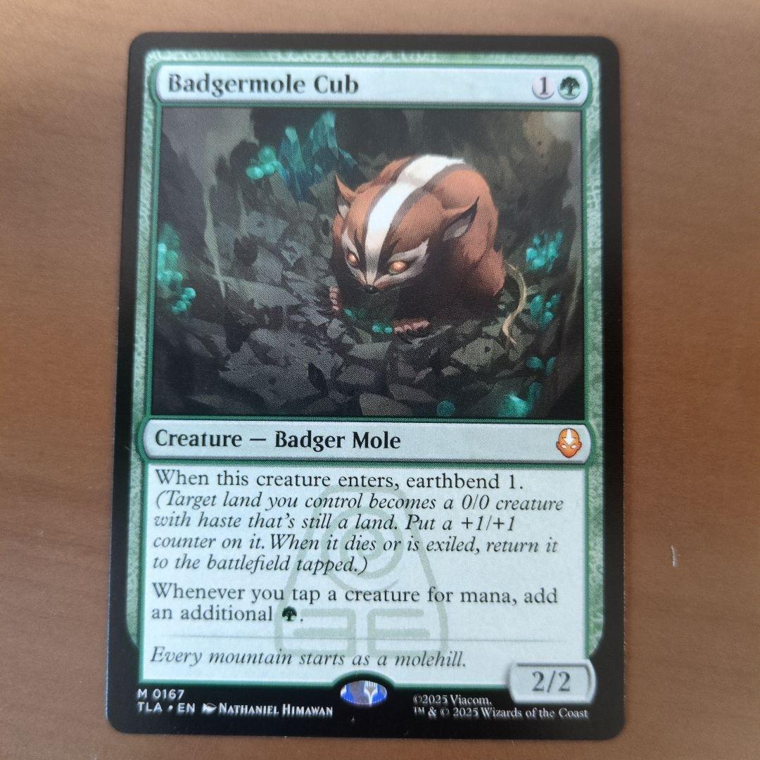 アナグマモグラの仔　英語版　アバター　伝説の少年アン