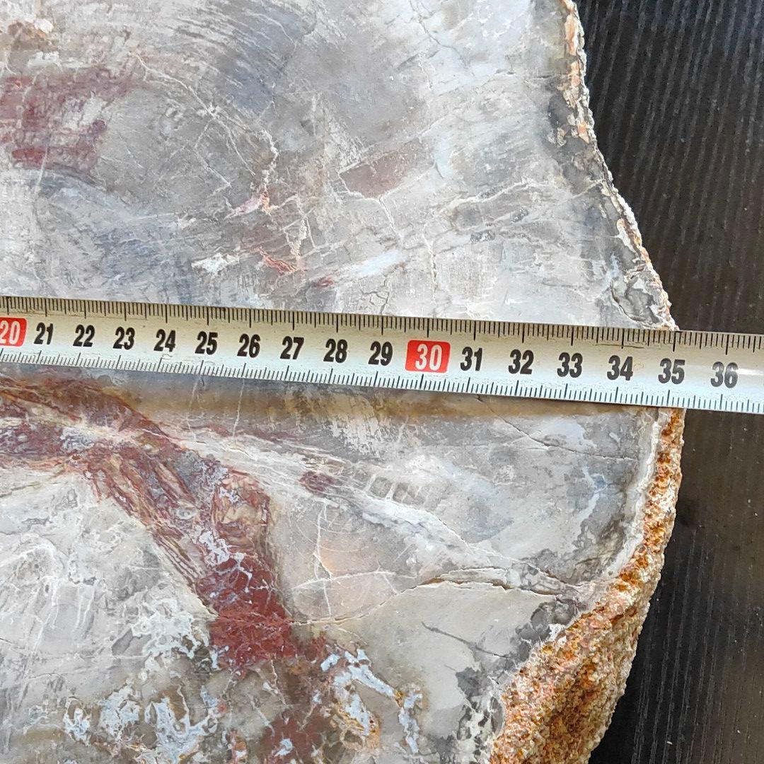 超特大の珪化木の化石です。