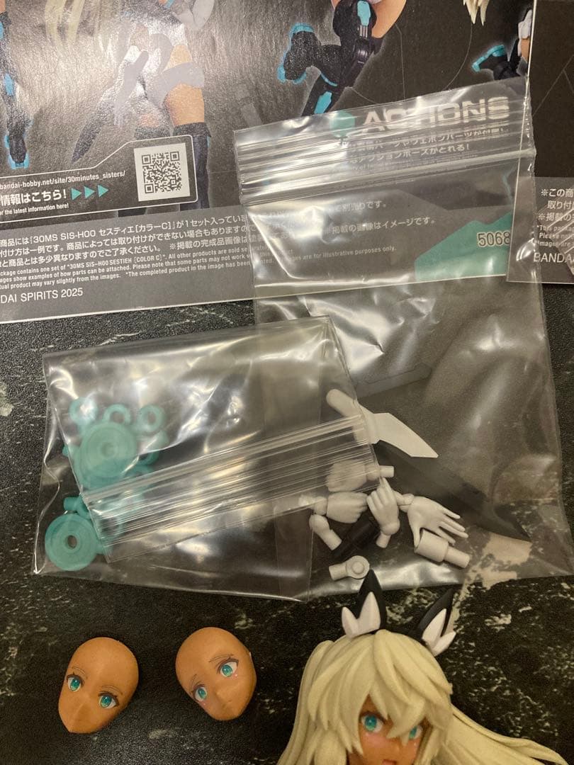 30MS セスティエ シュレミ 組み立て品