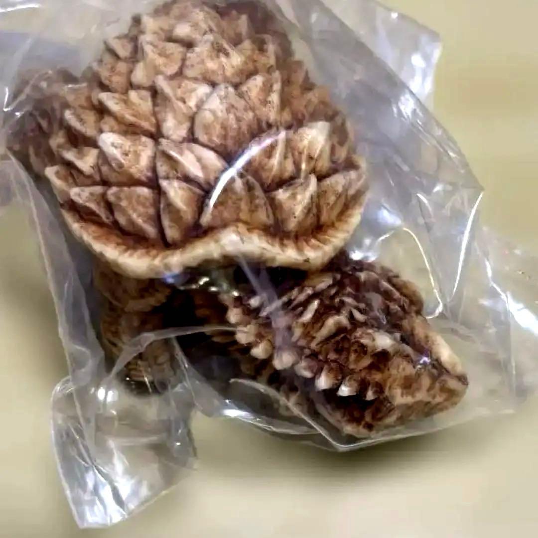 怪獣根付「ガメラ」