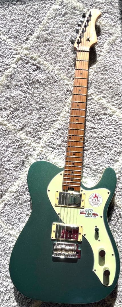 Bacchus Telecasterスタイル エレキギターセット