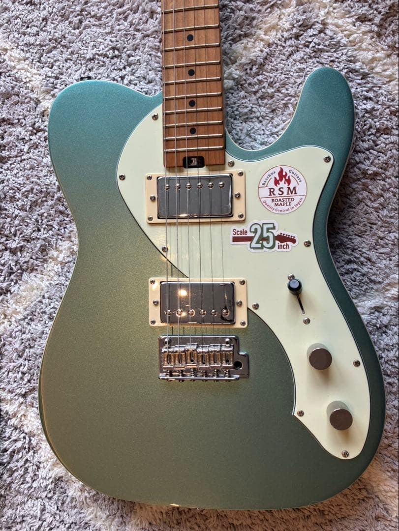 Bacchus Telecasterスタイル エレキギターセット