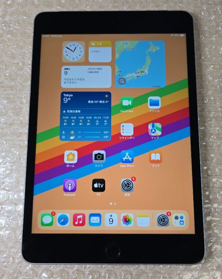 M*1様 比較的美品◼️iPad mini 4◼️128GB◼️バッテリー極良品