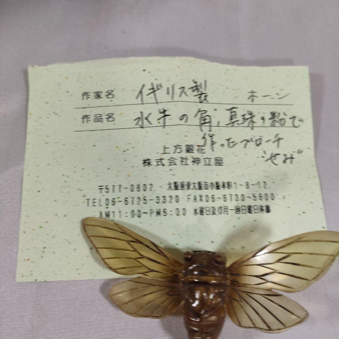 P5 超美品　OSTIA 　オスティア　せみ　イギリス　水牛の角　ブローチ