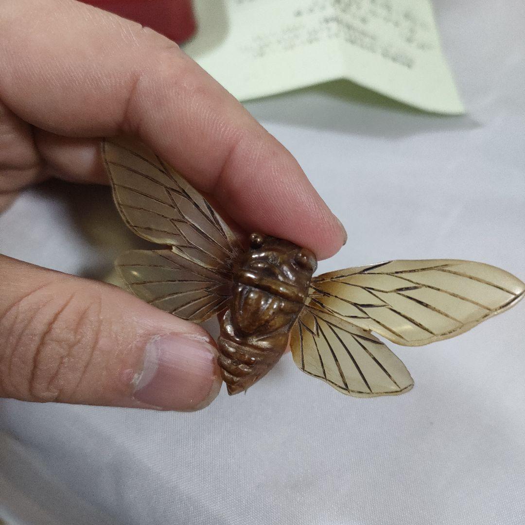 P5 超美品　OSTIA 　オスティア　せみ　イギリス　水牛の角　ブローチ