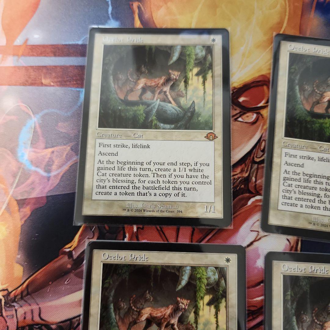 オセロットの群れ　4枚