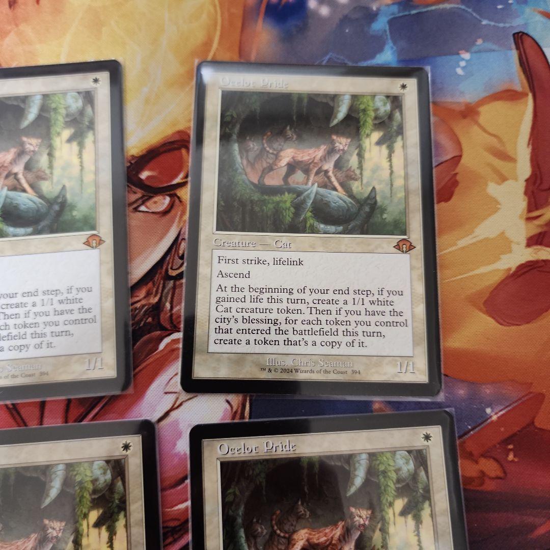 オセロットの群れ　4枚