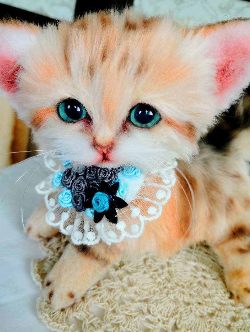 スナネコちゃん❤子猫♥まなあきちゃんご予約♥