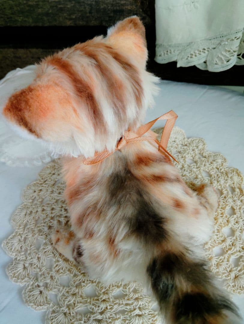 スナネコちゃん❤子猫♥まなあきちゃんご予約♥