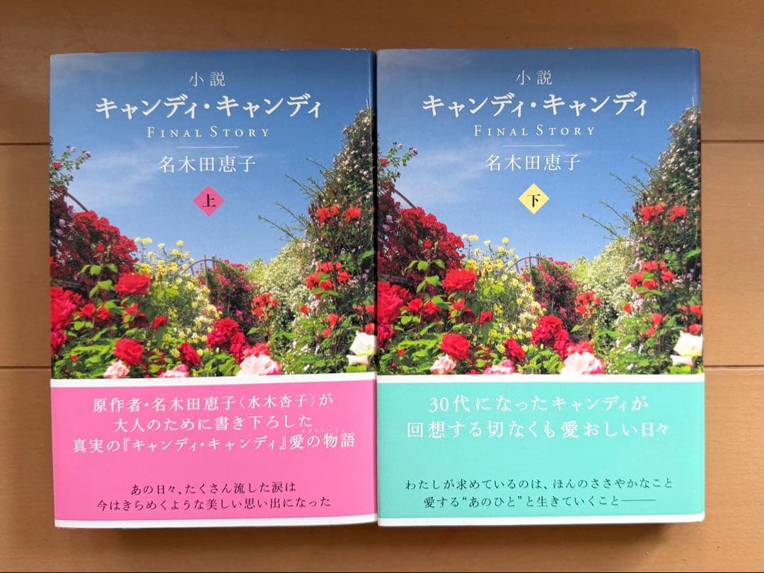 水木杏子（名木田恵子）／小説キャンディ♡キャンディFINALSTORY上下巻