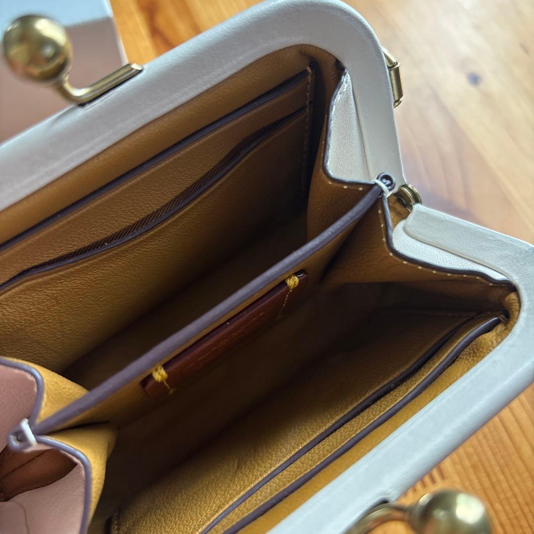 コーチ　リンゴプリント ケース