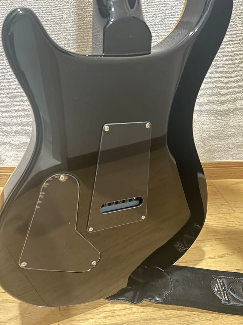 ポールリードスミス エレキギター SE Custom 24