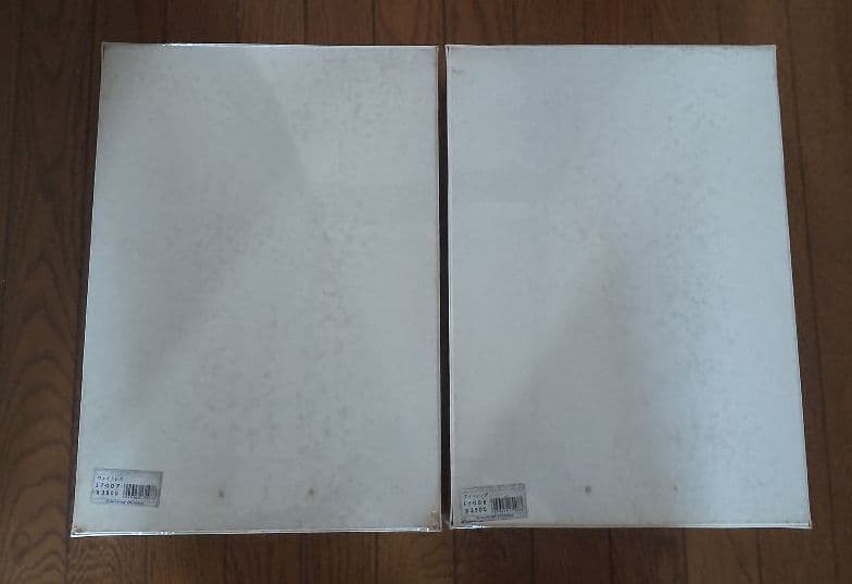 e petty パズル　1000ピース　　ウェイトレス　フィッシング