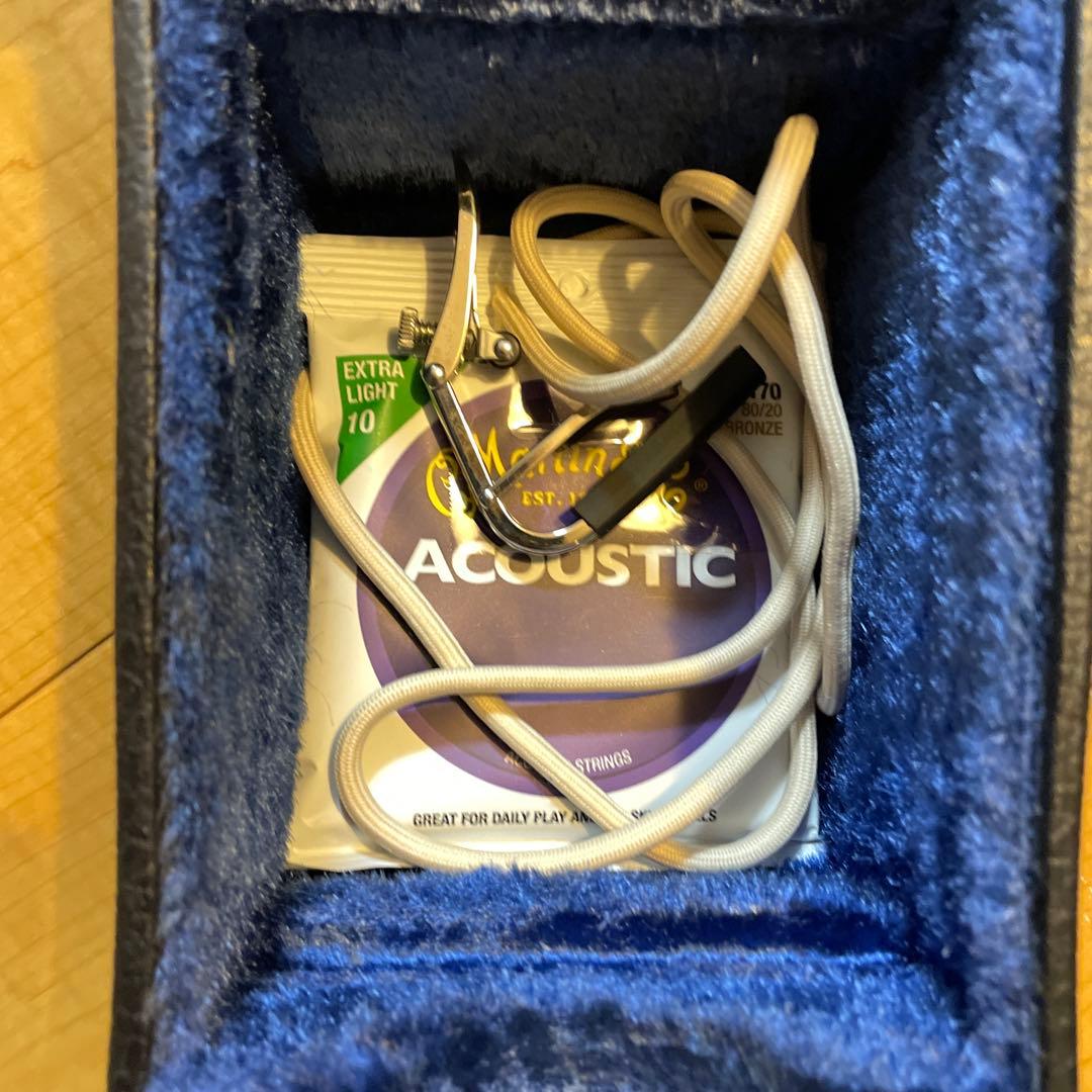 Caf's Eyes アコースティックギター ハードケース付き