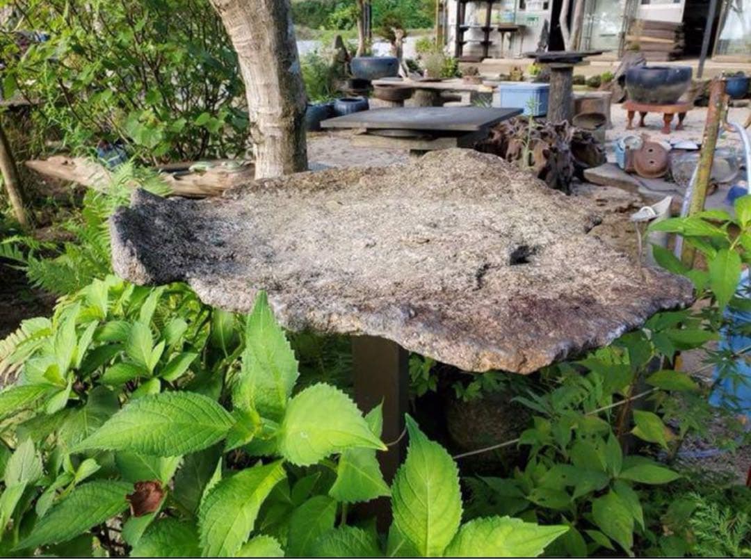 （み148）自然石、平石　盆栽鉢　料理の盛り付け